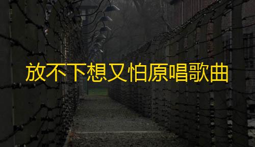 王者荣耀直装科技免卡密放不下想又怕原唱歌曲